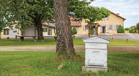 Ruche abeille - Maison Fontan