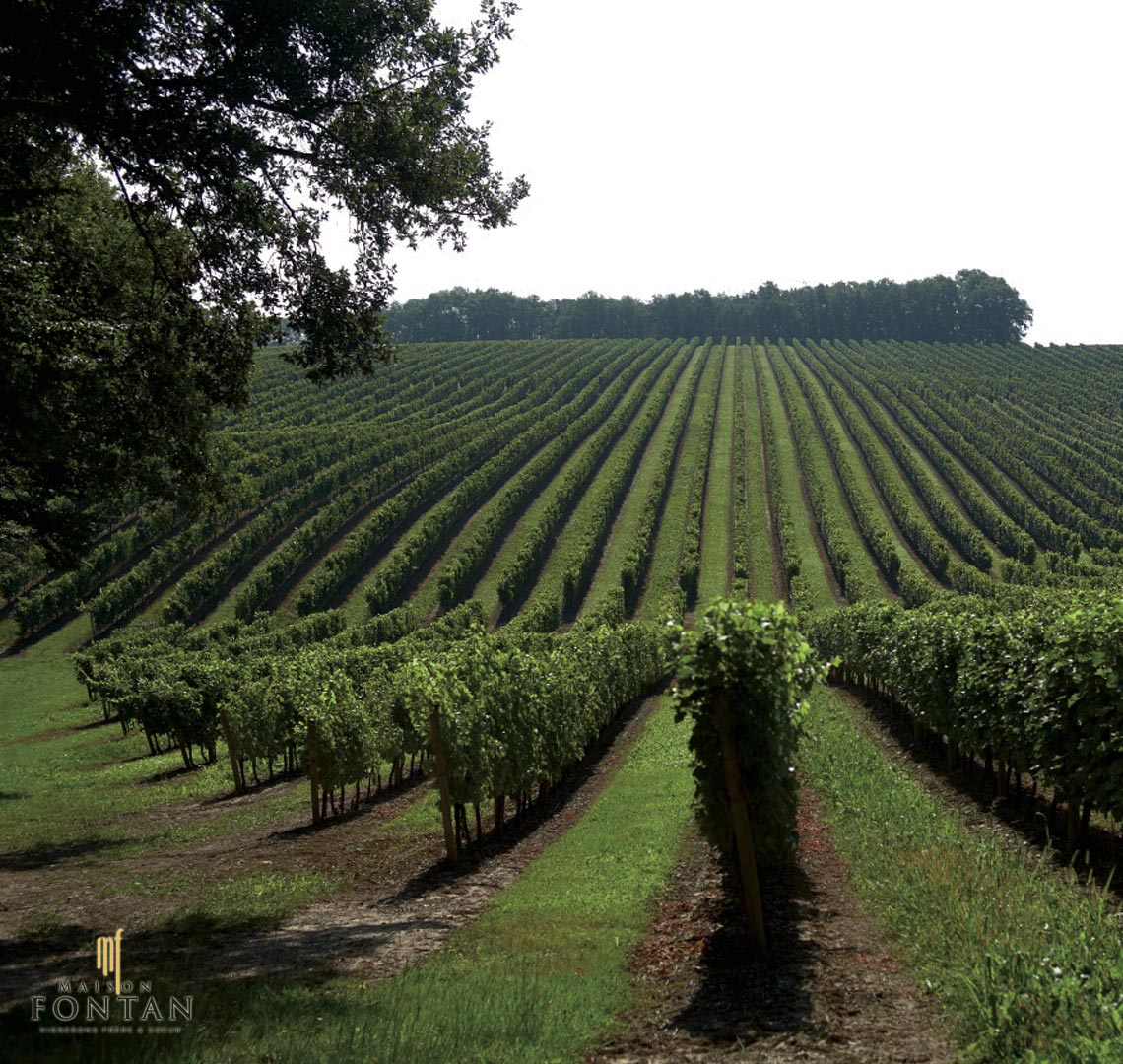 Vignobles Maison Fontan - Maubet Gers Noulens.