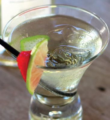 Floc Fizz - Maison Fontan Côte de Gascogne