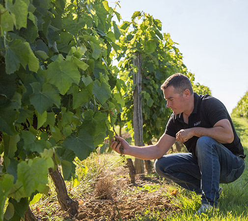 Sylvain Fontan. Maison Fontan